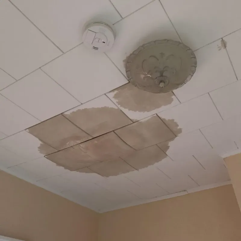 Ceiling Water Damage Repair in Uniontown, PA