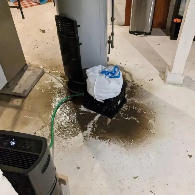 Sewage Backup Cleanup Service in Uniontown, PA